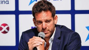 Del Potro fue víctima de un cuantioso robo en su casa de Tandil