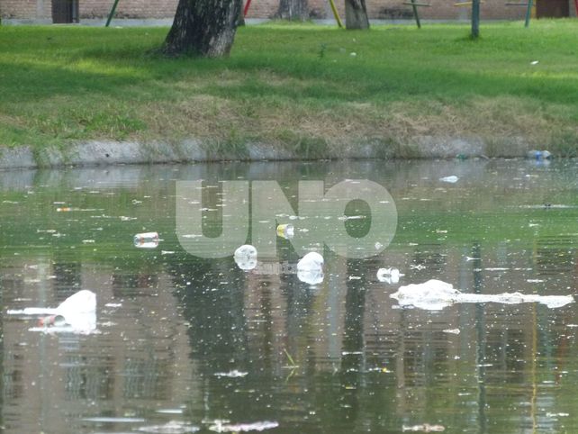 En los piletones. La falta de limpieza en los lagos es notoria En los piletones. La falta de limpieza en los lagos es notoria