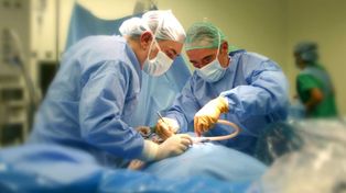 Donantes santafesinos posibilitaron 22 nuevos trasplantes