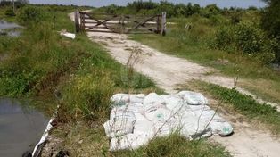 Quedar aislado por la inundación: el esfuerzo de una familia para seguir adelante