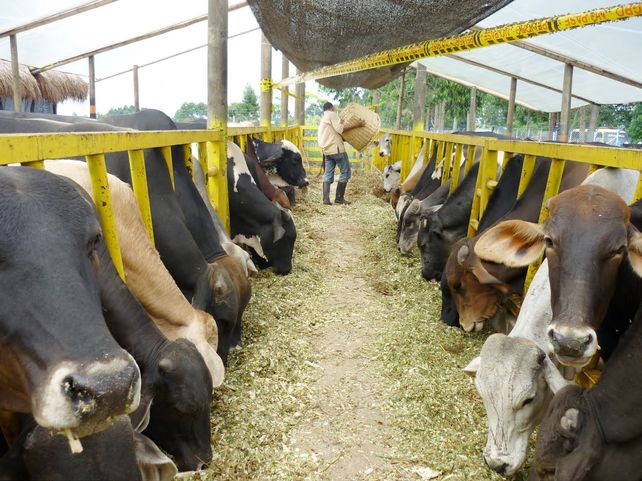 La Ciudad será sede de una jornada dedicada a la agroindustria