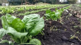 La agroecología es posible.&nbsp;