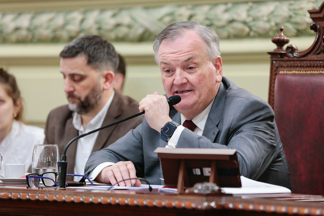 Felipe Michlig, titular de la Constituyente.