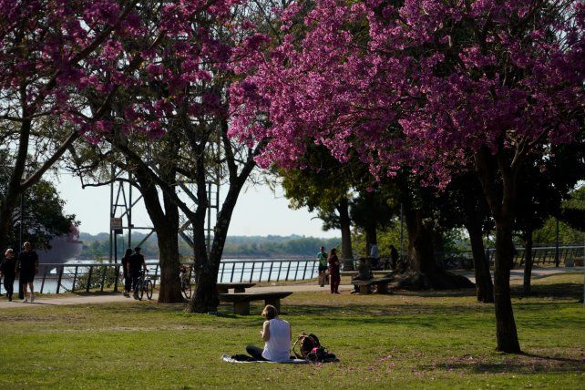 El tiempo en Rosario: jueves con calor y chances de tormentas por la noche