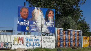Denuncian daños sistemáticos en cartelerías de una precandidata