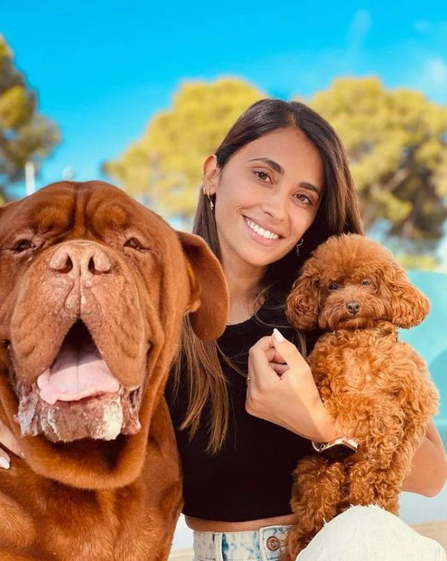 Antonela Rocuzzo llenó de corazones una historia en Instagram gracias a Hulk
