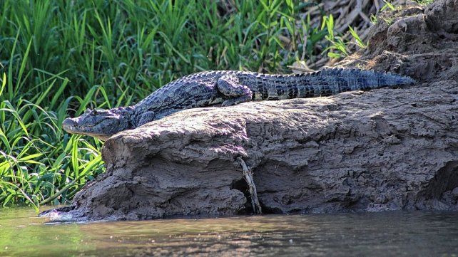 Los trabajadores de Parques Nacionales estarán en jornadas de protesta en apoyo a guardaparques