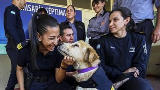 Así recibieron a Cartucho