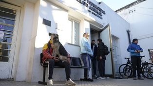 El Hospital Animal funcionará en el actual predio del Imusa.