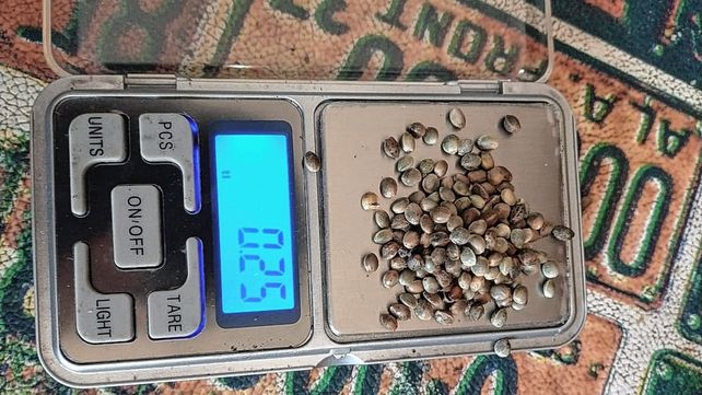 Secuestraron 30 aves silvestres y marihuana en Colonia Avellaneda y San Benito