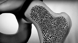 Imagen ilustrativa.