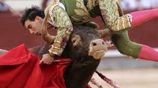 Escalofriantes imágenes de un torero que fue embestido y corneado por un toro de 640 kilos