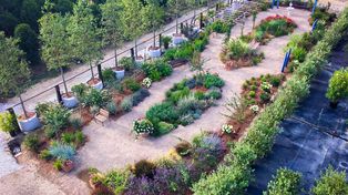 Italia: crean el primer jardín público terapéutico para pacientes con Alzheimer