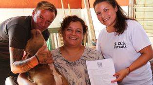 El pitbull atado en un vagón de tren encontró una familia