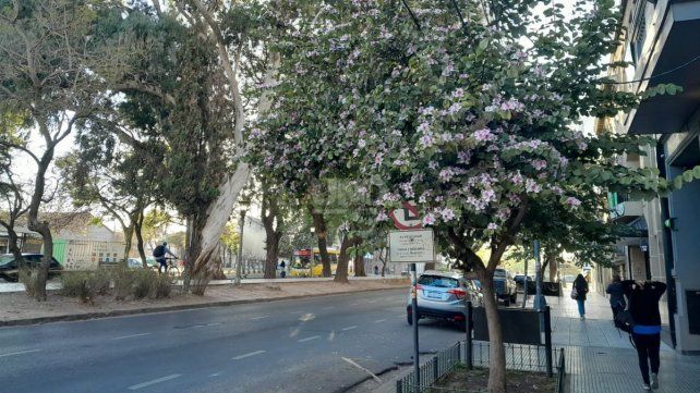 El clima en la ciudad de Santa Fe