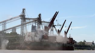 Con una comercialización de soja prácticamente detenida, se espera que avance la de maíz