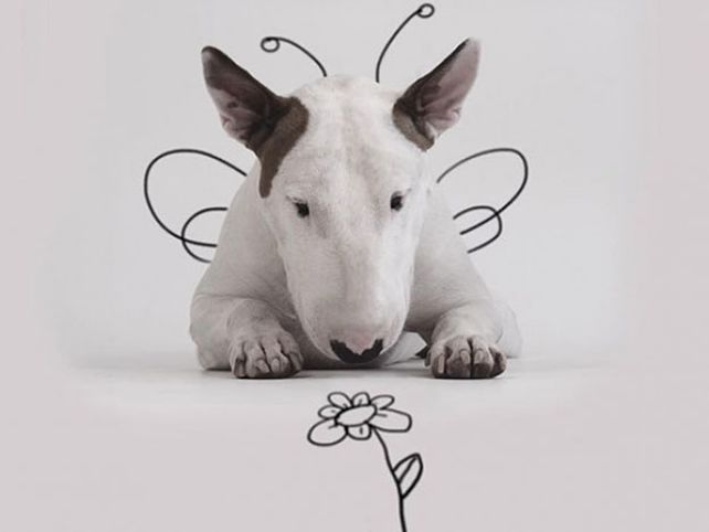 Su esposa lo dejó, pero creó un mundo con su perro