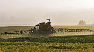 El máximo tribunal advirtió que hay otras formas alternativas de producir la tierra, sin afectar la salud.
