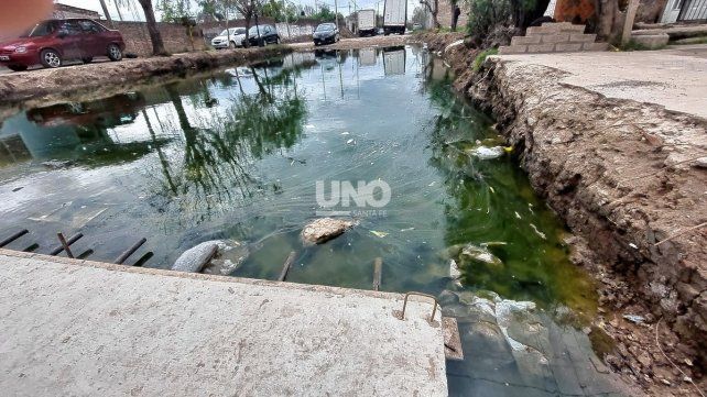 Los vecinos de barrio San José conviven con el agua estancada producto de una obra de asfalto inconclusa.