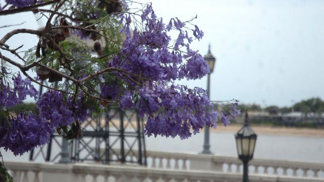 Por las altas temperaturas la ciudad de Santa Fe está bajo alerta amarillo