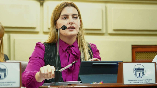 La iniciativa sobre la plataforma para seguir las denuncias fue presentada por la legisladora socialista
