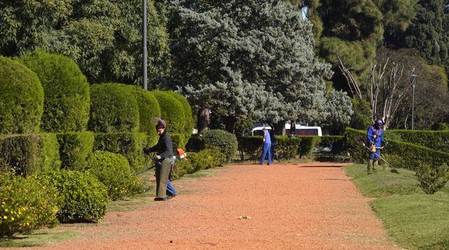 Jardineros trabajan en los jardines del Parque. 