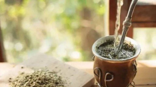Entre Ríos: descubren en el mate propiedades neuroprotectoras frente al Parkinson