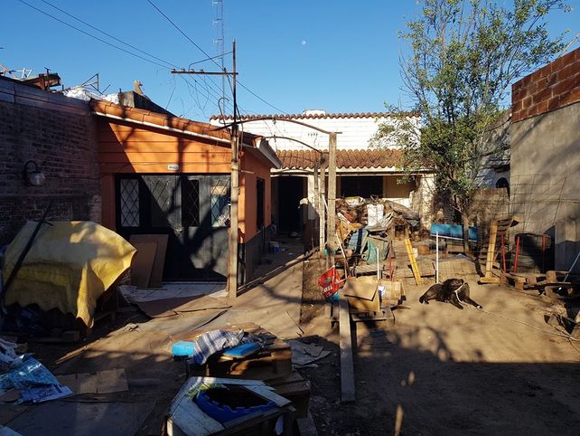 Piden colaboración para los perros desalojados de un refugio de la ciudad