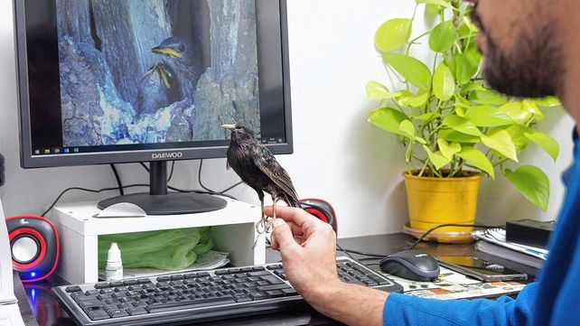 En estudio. Científicos de la Universidad Nacional de La Plata (UNLP)