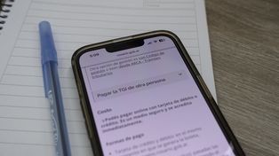 Mientras el sube el uso de los perfiles digitales para trámites en la página web del municipio, baja la concurrencia presencial.
