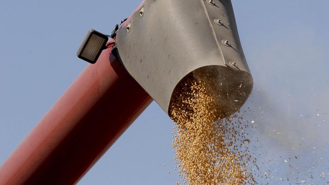 El contrato mayo de la oleaginosa subió u$s 10
