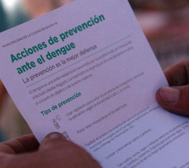 Dengue en la ciudad: confirmaron que la presencia del vector se redujo notablemente en los barrios