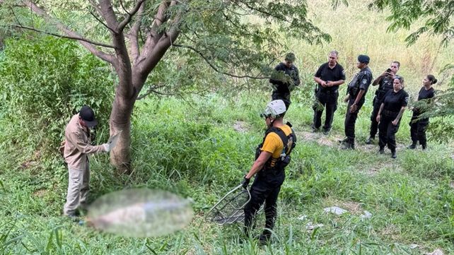 Zona de barranca. Bomberos Zapadores durante el operativo de rescate de la mujer