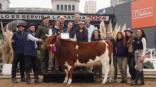 El 2024 marcará un hito en la investigación universitaria porque comenzarán a estudiar la evaluación del vigor híbrido en el cruzamiento de la raza Angus y Bovino Criollo argentino patagónico, la heterosis materna e individual en este tipo de cruzamiento.