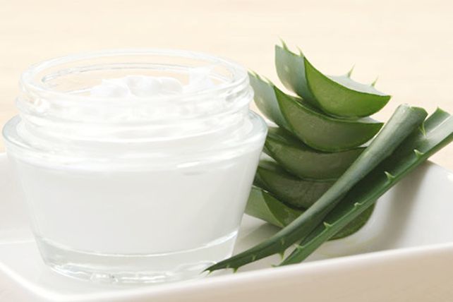 Sacale partido al aloe vera en los días de verano