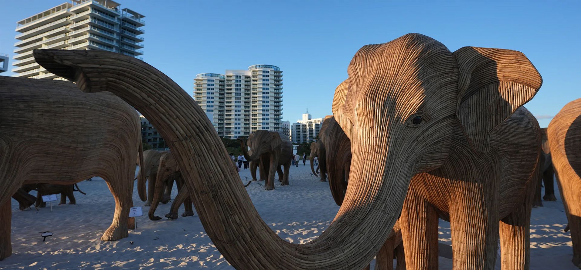 La instalación artística Great Elephant Migration, que está viajando a través de los EE. UU. promoviendo la coexistencia entre humanos y vida silvestre, se exhibe durante la semana de arte de Miami en Florida, Miami Beach, Estados Unidos. Fotografía: Lynne Sladky/AP La instalación artística Great Elephant Migration, que está viajando a través de los EE. UU. promoviendo la coexistencia entre humanos y vida silvestre, se exhibe durante la semana de arte de Miami en Florida, Miami Beach, Estados Unidos. Fotografía: Lynne Sladky/AP