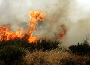 Un incendio forestal avanza a quince kil&oacute;metros del centro de Atenas