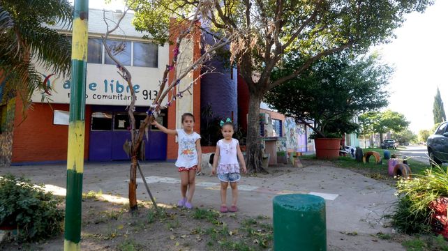 La rama de eucalipto está en la esquina de Virasoro y Teniente Agneta.