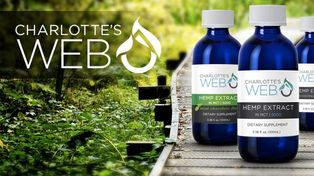 Consultas argentinas a productora mundial de aceite de cannabis