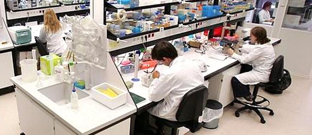 Area de terapia génica y hepatología de la Universidad de Navarra