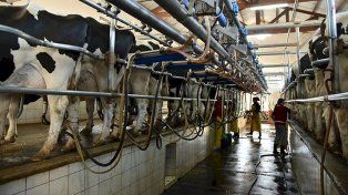 Argentina lidera el crecimiento mundial en producción de leche durante el primer semestre de 2025