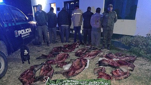 Atraparon a cinco chaqueños por cazar chanchos salvajes en el norte santafesino
