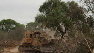 Villaguay: abren causa por la supuesta destrucción del monte nativo