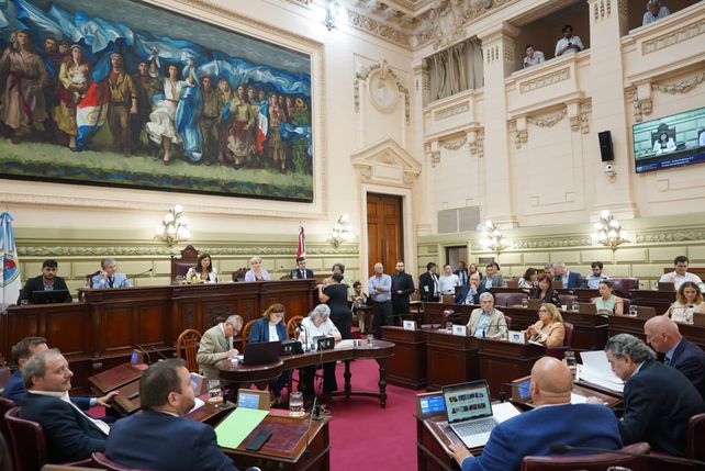 Antes que la Cámara alta