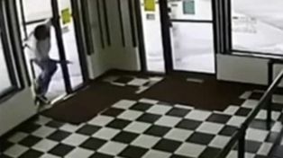 Caminaba mirando el teléfono, pisó sin querer una víbora y recibió un mordisco en la pierna