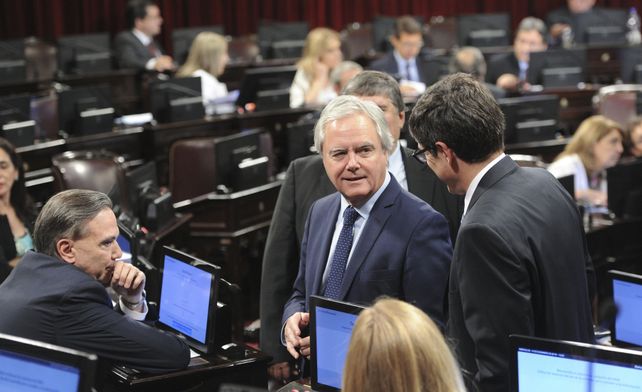 El Senado convirtió en ley la Declaración de Emergencia Social