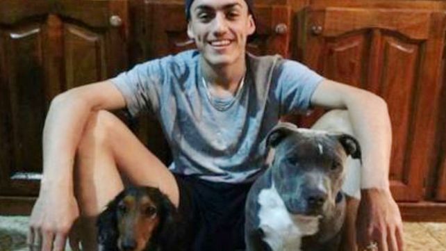 Así vive Drako, el pitbull arrepentido por romper la zapatilla de su dueño que se hizo viral