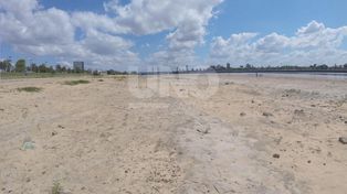 Guardavidas piden adelantar la temporada de playa