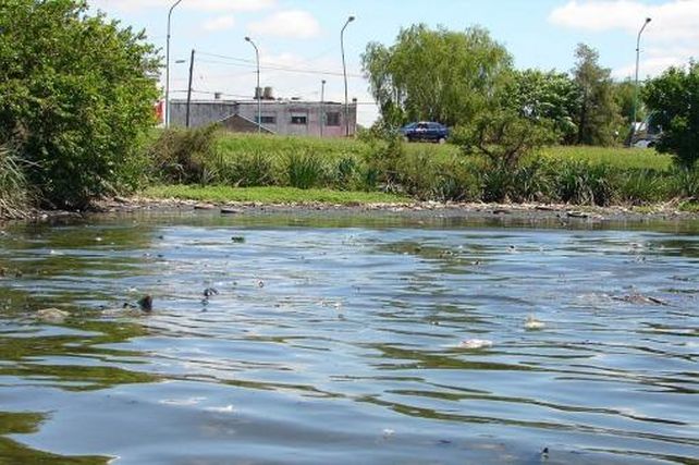 El BID aprobó un crédito de US$ 410 millones para obras en el Río Reconquista