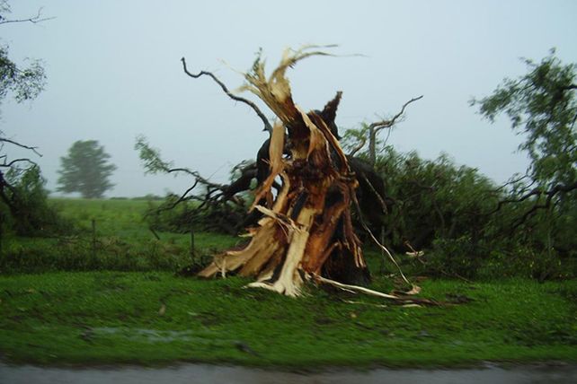 Humboldt: una cola de tornado cortó cables, voló techos y derribó árboles